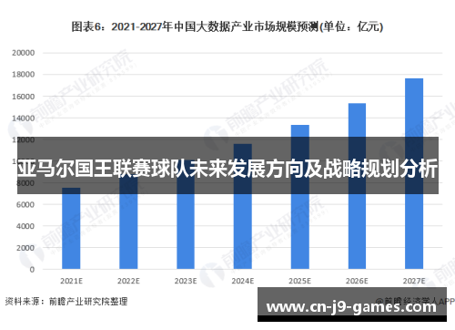 亚马尔国王联赛球队未来发展方向及战略规划分析