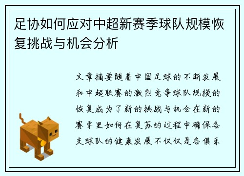 足协如何应对中超新赛季球队规模恢复挑战与机会分析